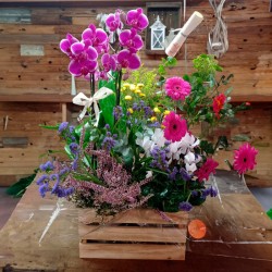 Caixa de fusta Plantes i flor