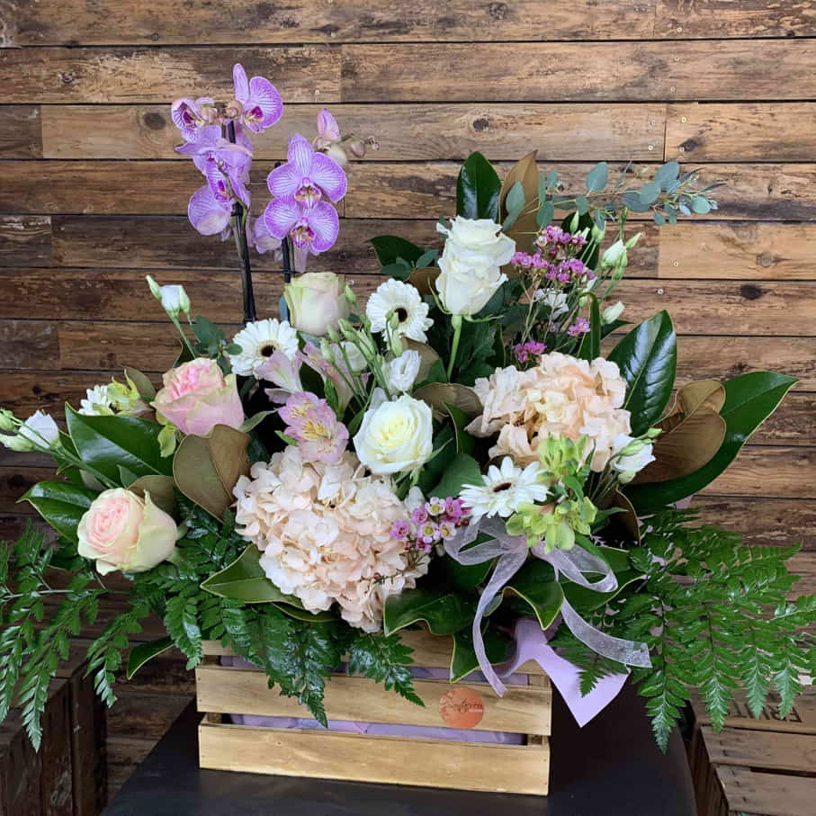 Caja Orquídea y Flor Cortada